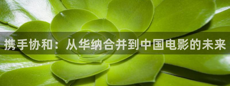久久无毛视频